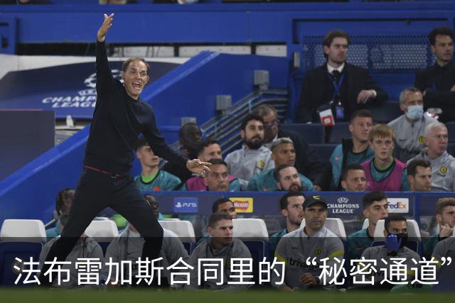 法布雷加斯合同里的“秘密通道”：三家俱乐部低价接盘